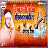 About Veena Wali Maiya Abhinadan Kari Le Song